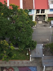 Blk 639 Rowell Road (Central Area), HDB 5 Rooms #161151262